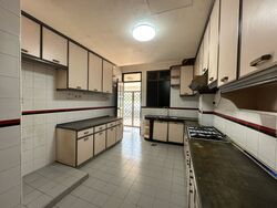 Lorong Mydin (D14), Terrace #482896241